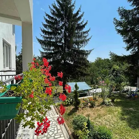 Apartment Vila Ruzica *