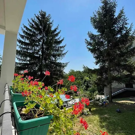 Vila Ruzica * Arandjelovac